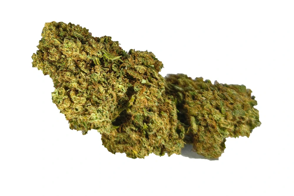 GRAPEFRUIT - (GLASSHOUSE) - Technické konopí - CANNABIS SATIVA L. INDUSTRIAL HEMP - k dalšímu zpracování - balení 20g