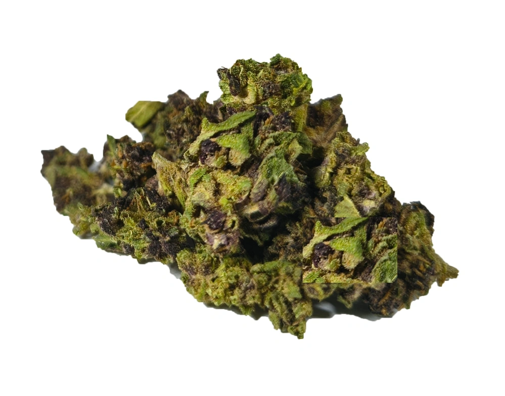 PURPLE HAZE - THC-ZEN - (GLASSHOUSE) - Technické konopí - CANNABIS SATIVA L. INDUSTRIAL HEMP - k dalšímu zpracování - balení 10g