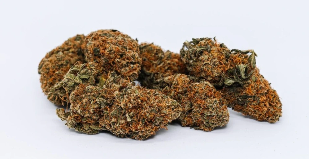 SILVER HAZE - (INDOOR) - Technické konopí - CANNABIS SATIVA L. INDUSTRIAL HEMP - k dalšímu zpracování - ČESKÁ PRODUKCE Z VYSOČINY - balení 20g