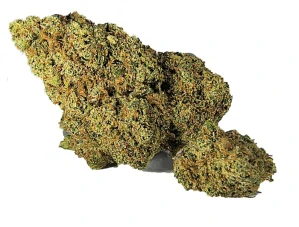 ZUSHI - CBD květ INDOOR - balení 10g