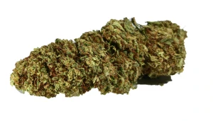 CHARLOTE - CBD květ - nová sklizeň - 5g