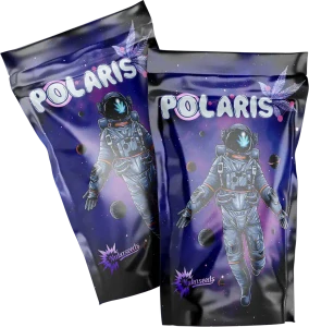 POLARIS - semínka - FEMINIZOVANÝ - 3ks