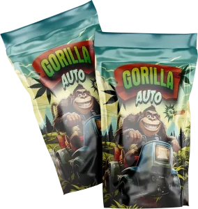 GORILA AUTO - semínka - SAMOKVETOUCÍ - 3ks