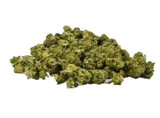 HARLEQUIN - CBD drobné paličky - NOVÁ SKLIZEŇ - 3g