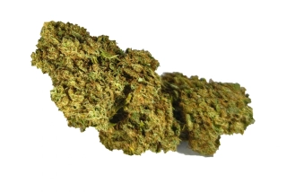 GRAPEFRUIT - CBD květ - nová sklizeň