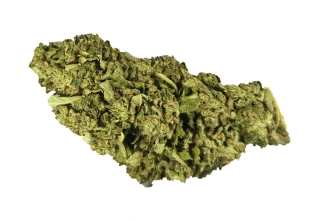 PINEAPPLE - (GLASSHOUSE) - Technické konopí - CANNABIS SATIVA L. INDUSTRIAL HEMP -  k dalšímu zpracování - balení 5g