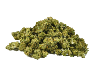 HAZELNUT - CBD DROBNÉ PALIČKY - NOVÁ SKLIZEŇ  - balení 50g