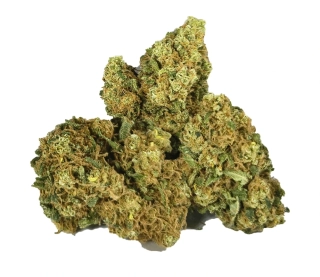 HARLEQUIN - CBD květ - CZ INDOOR 