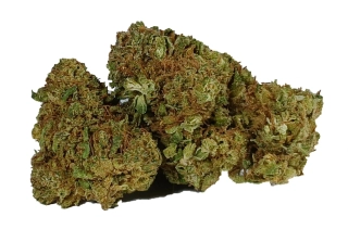 CHERRY DREAM - CBD květ - CZ INDOOR - 3g