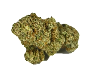 HAZE - CBD květ - INDOOR - 5g