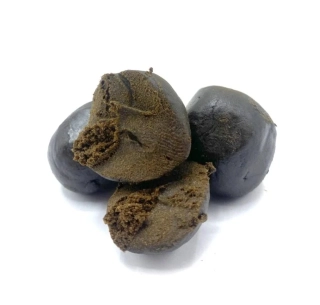 TH4C - HASHISH 