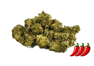 THC-X květ - SILVER HAZE - drobné paličky - 10g