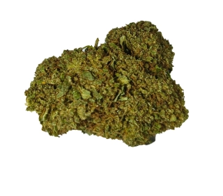 HARLEQUIN - (GLASSHOUSE) - Technické konopí - CANNABIS SATIVA L. INDUSTRIAL HEMP - k dalšímu zpracování - balení 20g